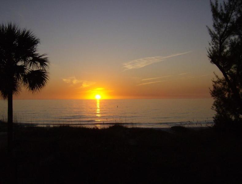 Club Bamboo South - Bradenton Beach Rom bilde